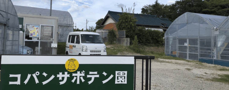 コパンサボテン園